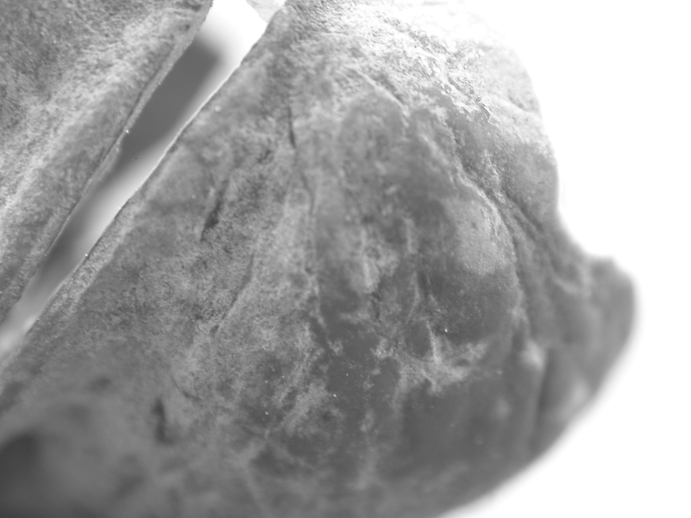 Qualcosa si � rotto #5