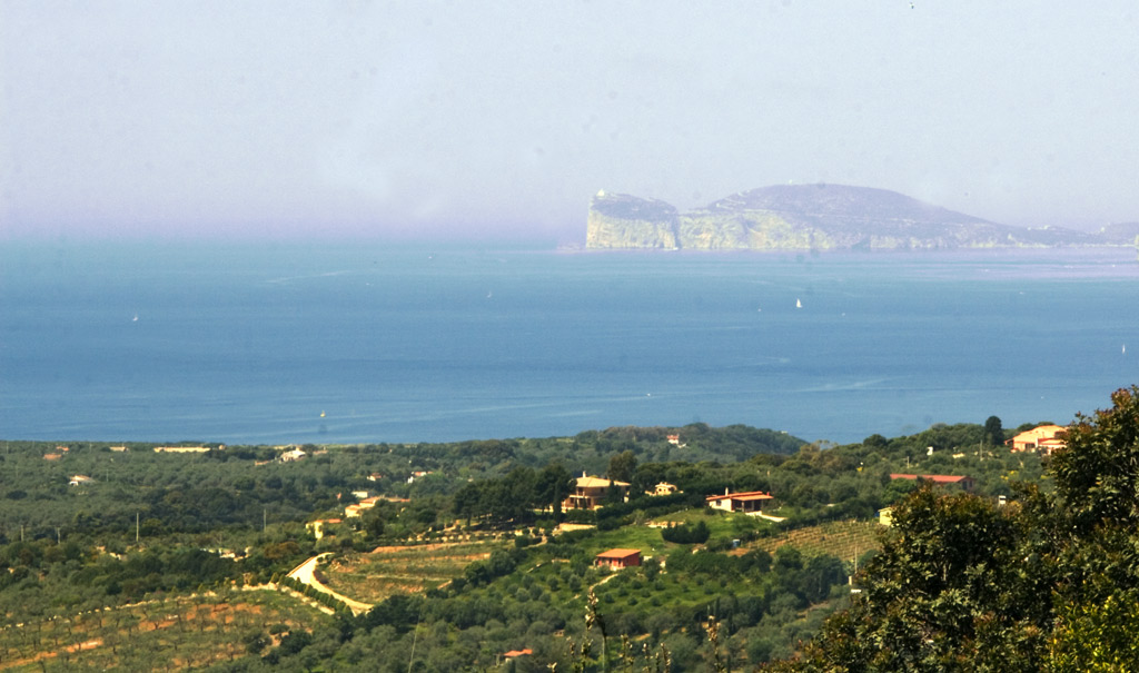 capo caccia