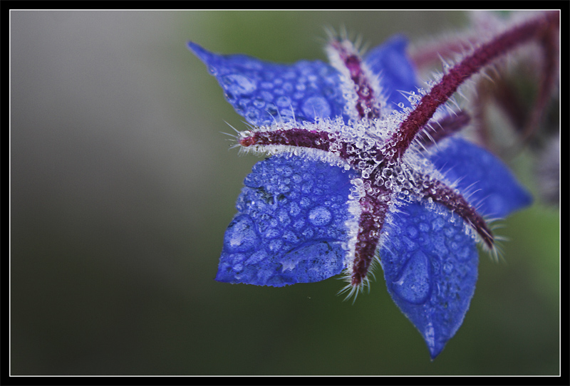 Dopo il temporale...