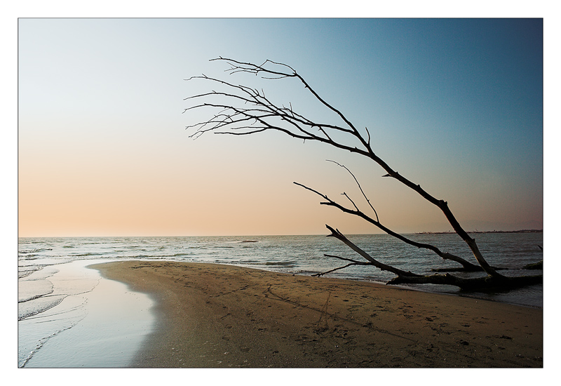 Parco dell'Uccellina#2