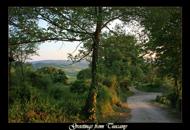 Poggio Murella - Toscana -