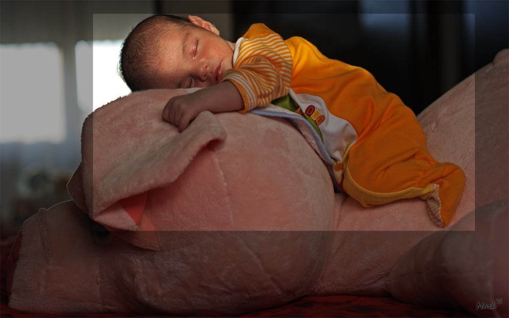 Sogni al galoppo - postwork