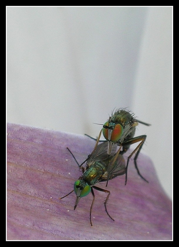 Avvinghiato a lei...