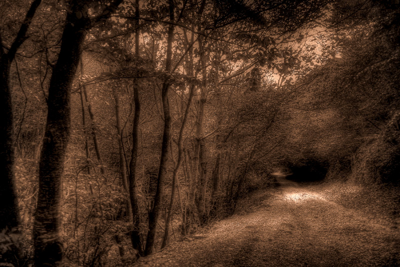 non � ammesso sapere