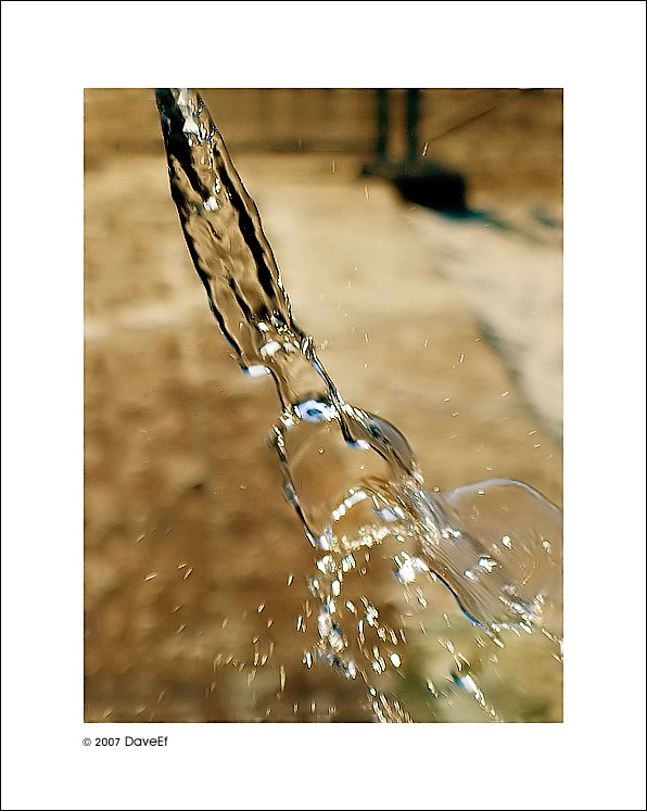 ::. Getting Free :::