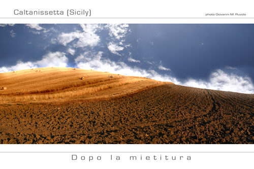 dopo la mietitura