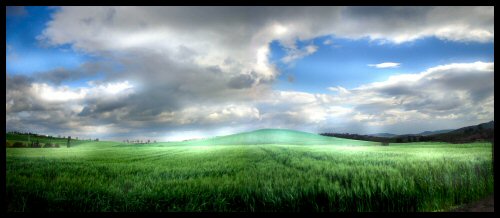la luce del grano