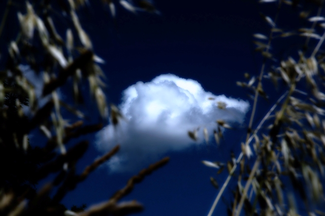 Evitate Rumori Inutili 03