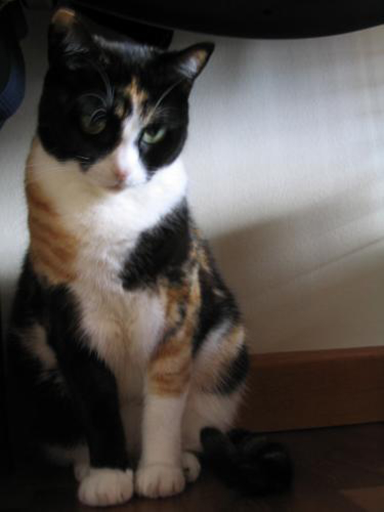 ..pensieri senza parole....