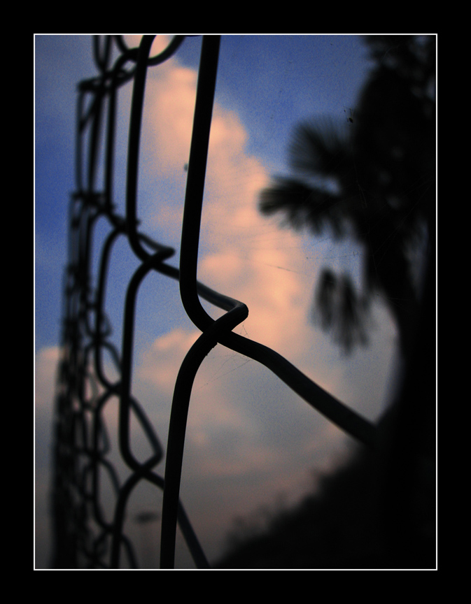 the sky behind the net
