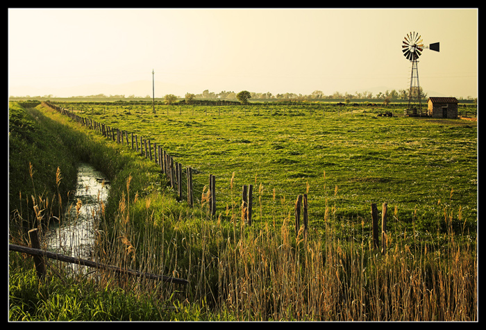 Waiting for the wind..