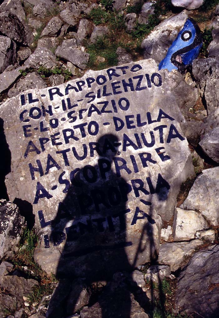 Alla ricerca di una identit�