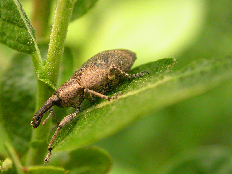 aiuuuuuuuuuuuutoooooo!!!!!!!!!!