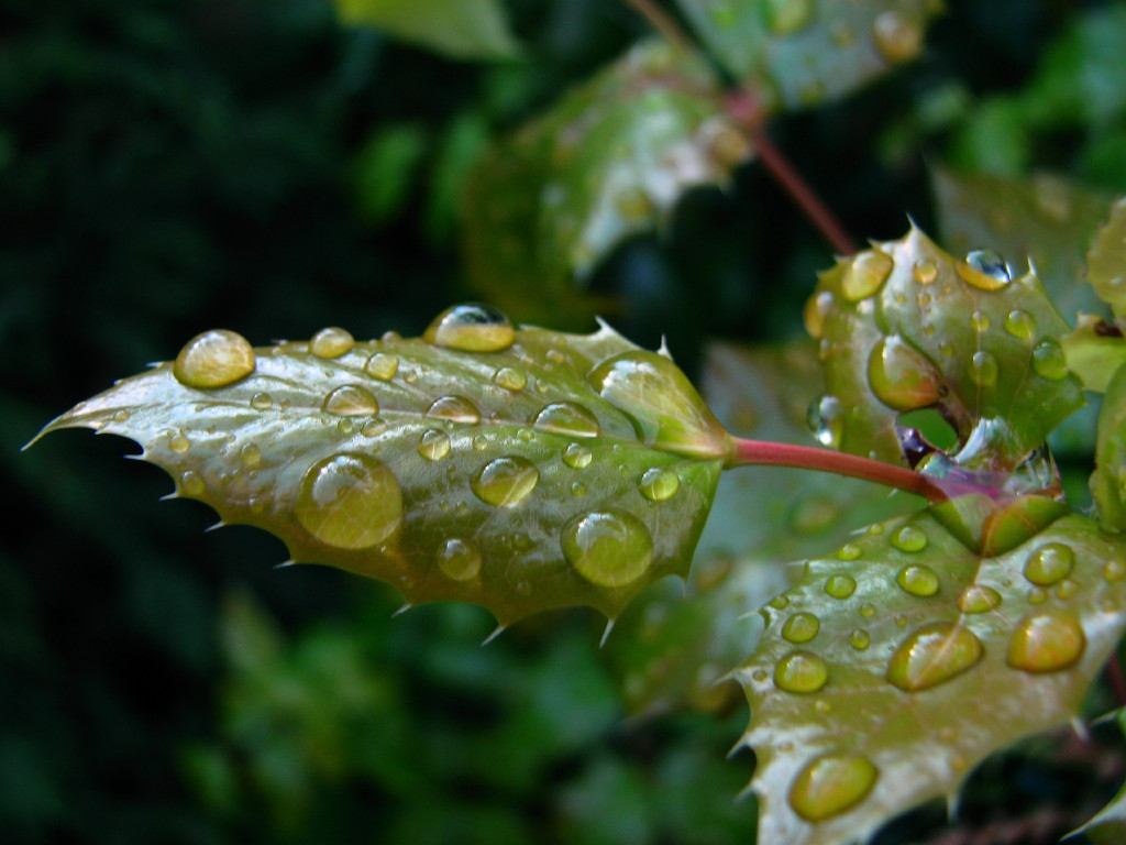 tanto tuon� che piovve...e poi torn� il sereno