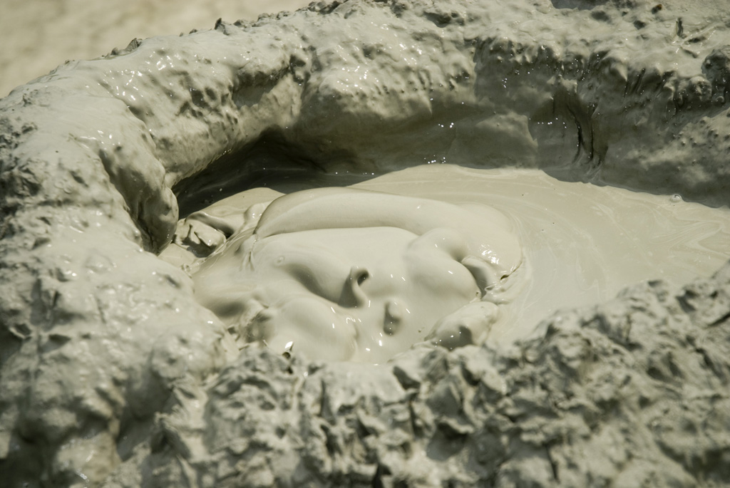 stranezze della natura