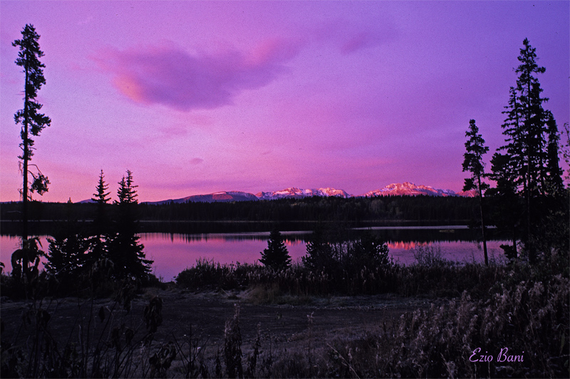 Il primo amore non si scorda mai 3: