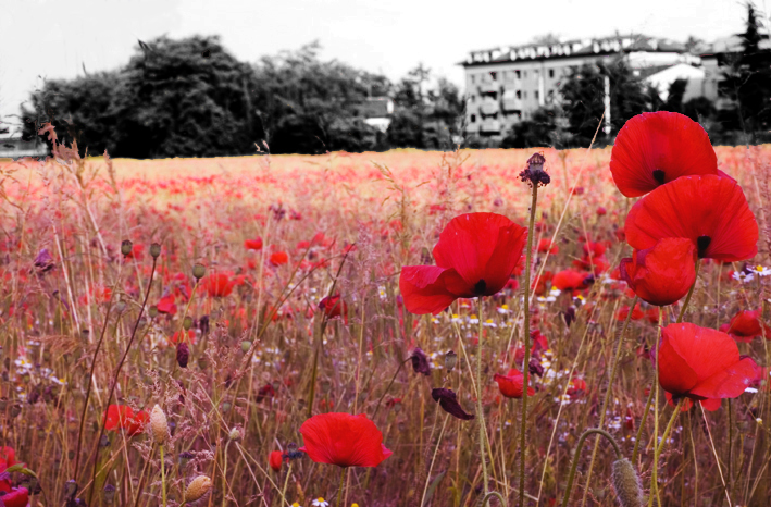 Vamos adelante compa�eros!!!