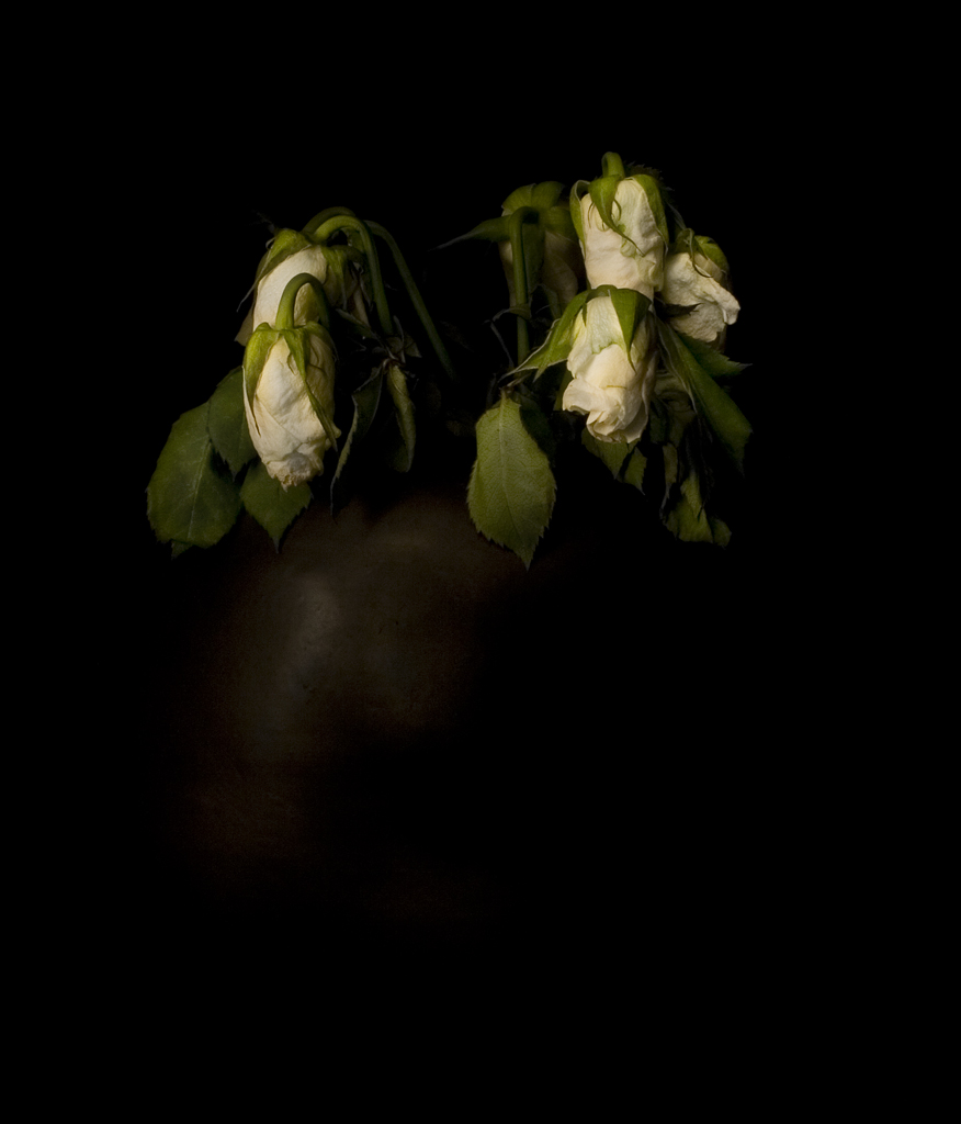 n a t u r a    m o r t a