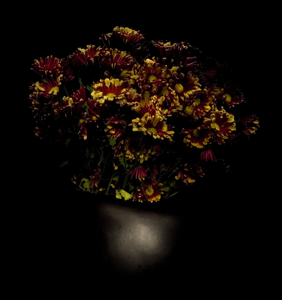 deep night flowers