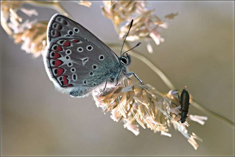 foto della domenica..