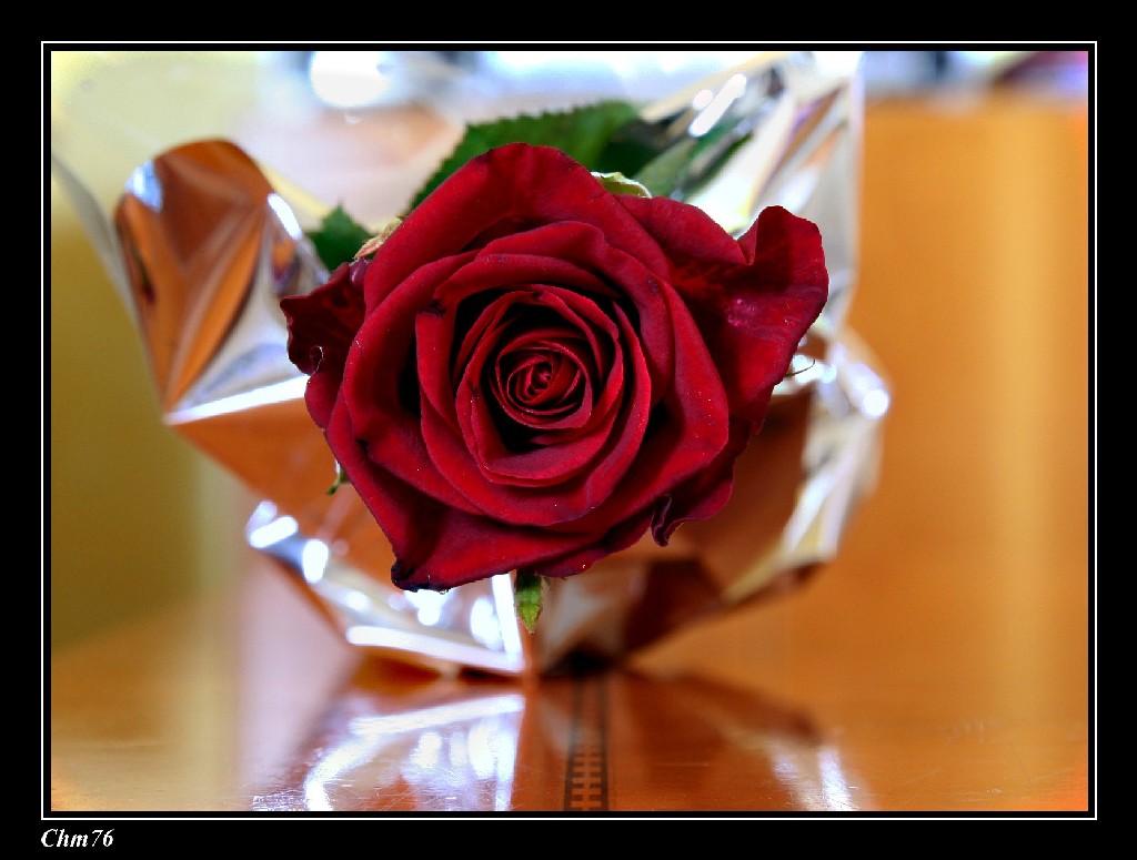 festa della mamma...