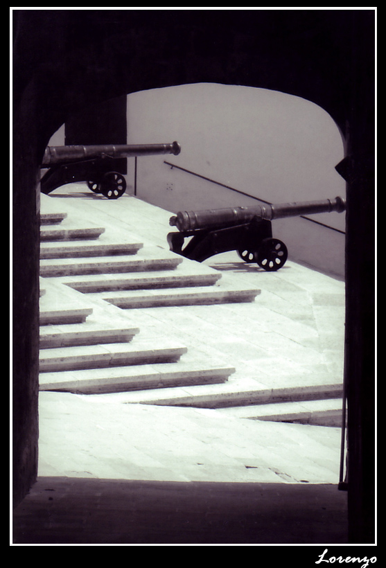 Mettete dei fiori sui vostri cannoni