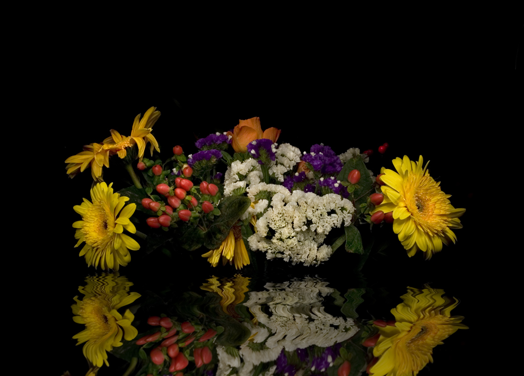 solo fiori con riflesso