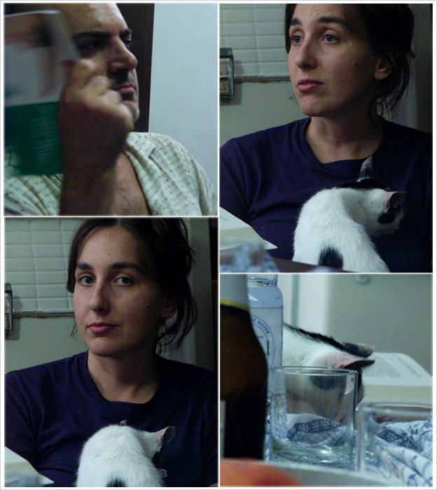 ale ed ernesto discutono di come si educa un gatto...