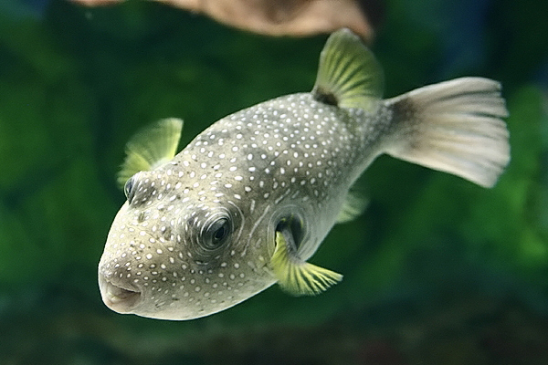 Scatola...da non rompere