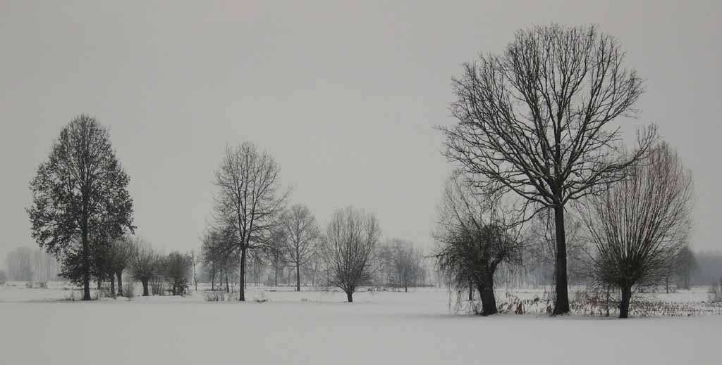 colore o bianco-nero