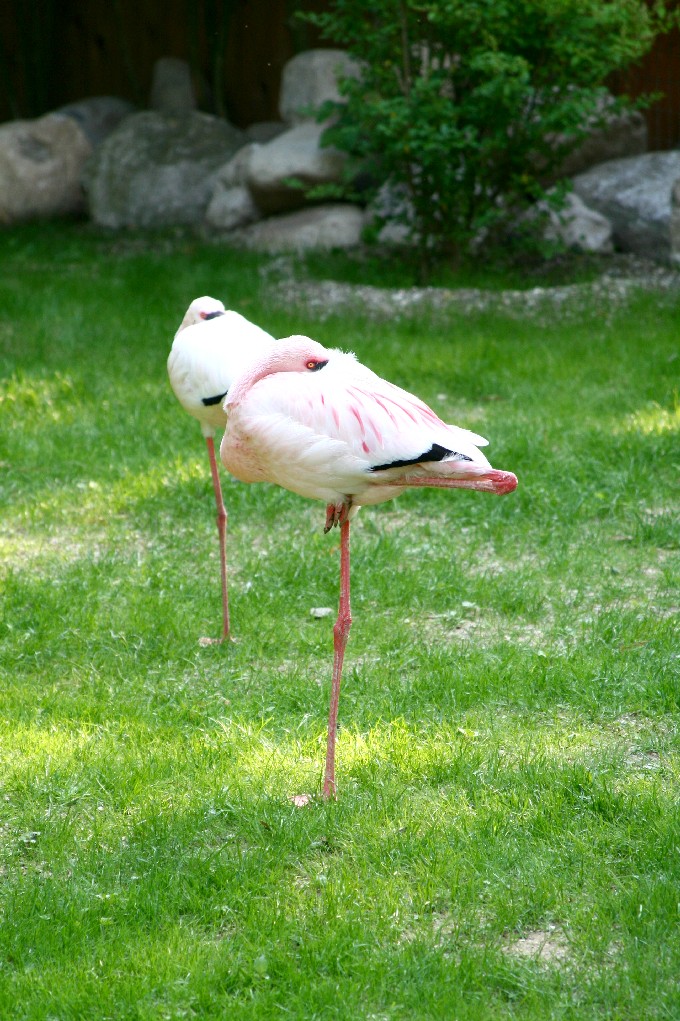 mi sembra impossibile...