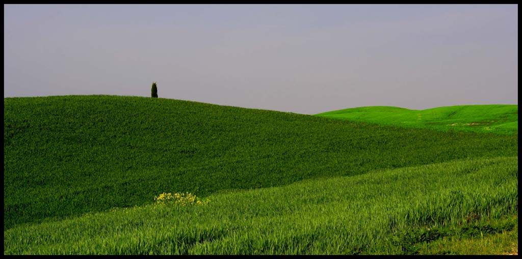 colline