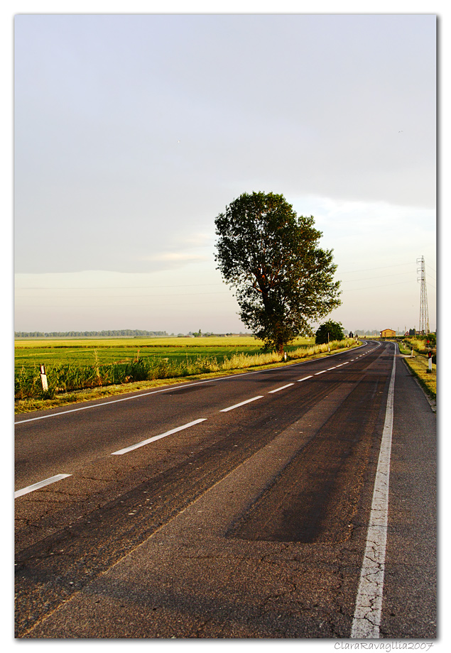 La via di casa...la sera