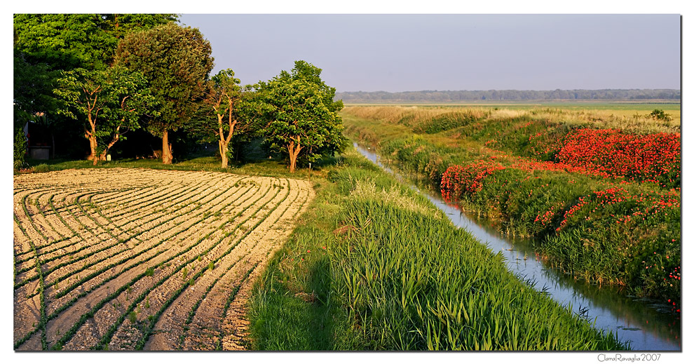 Disegni e colori.... in campagna