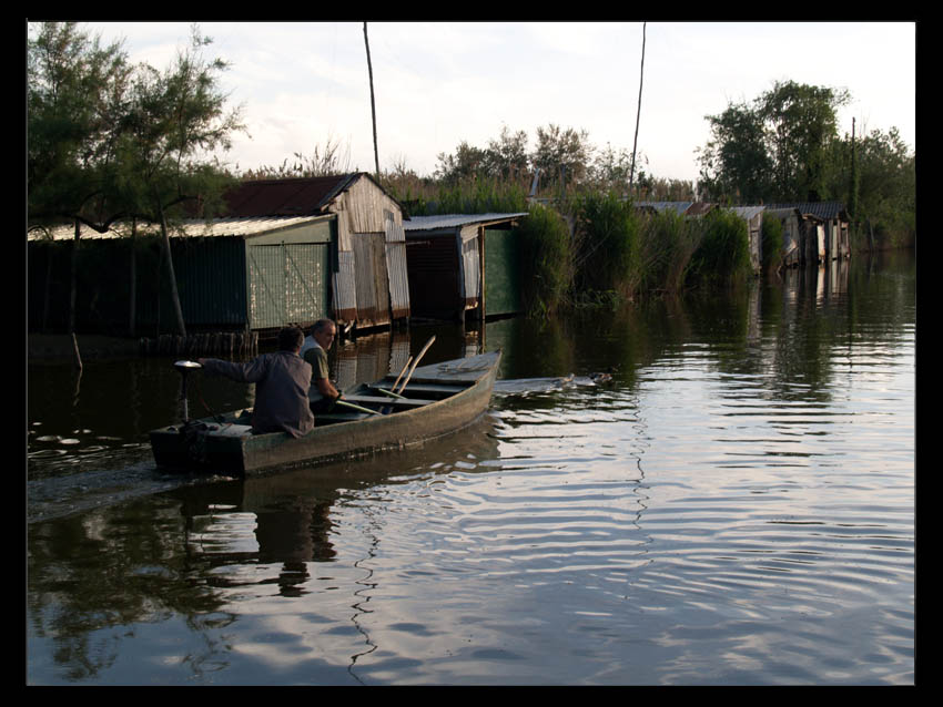 Barchino a massaciuccoli