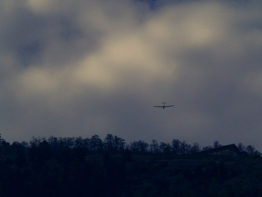 * la collina dei conigli *