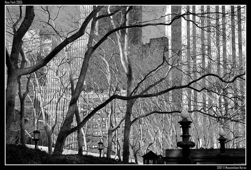 Park @ New York