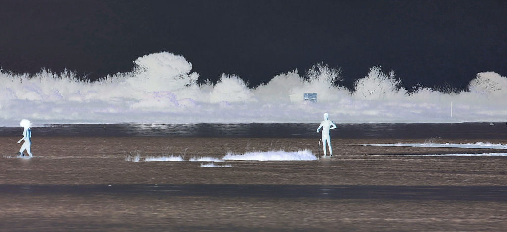 Adamo ed Eva Negativi