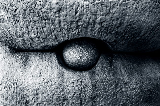 Piazza Repubblica_01