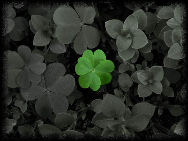 Intruso....fortunato