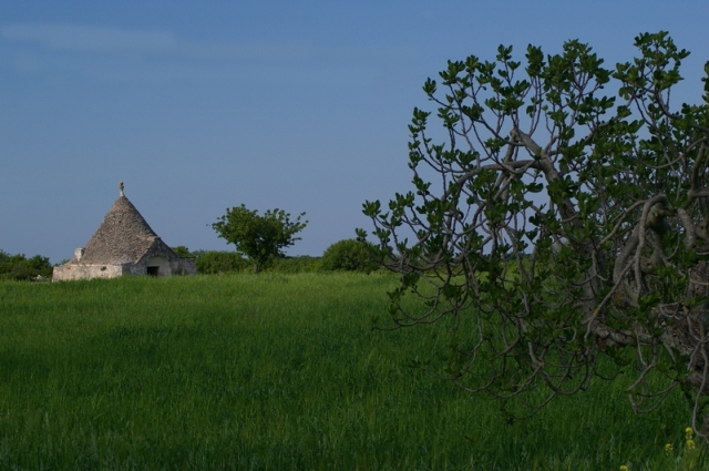 TRULLO 1