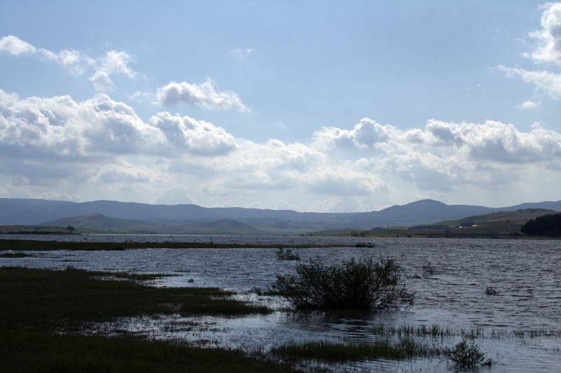 Lago. . O. . Palude?