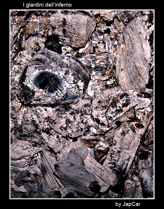 I giardini dell'inferno