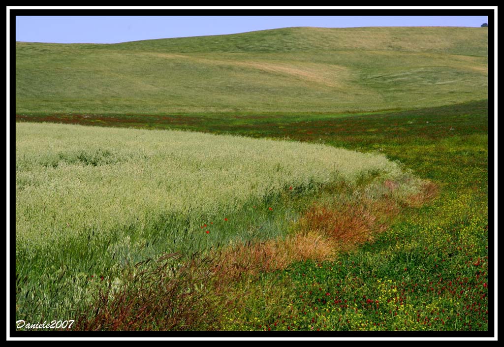 cromie prinaverili in val d'orcia