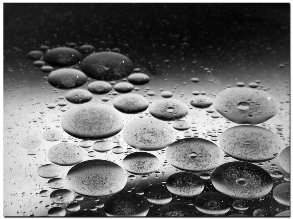 Modern Society #3 - waterproof conscience