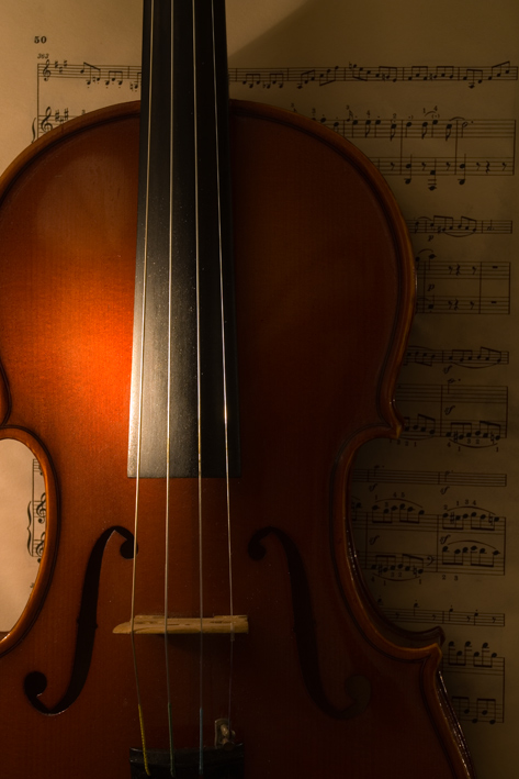 Violino