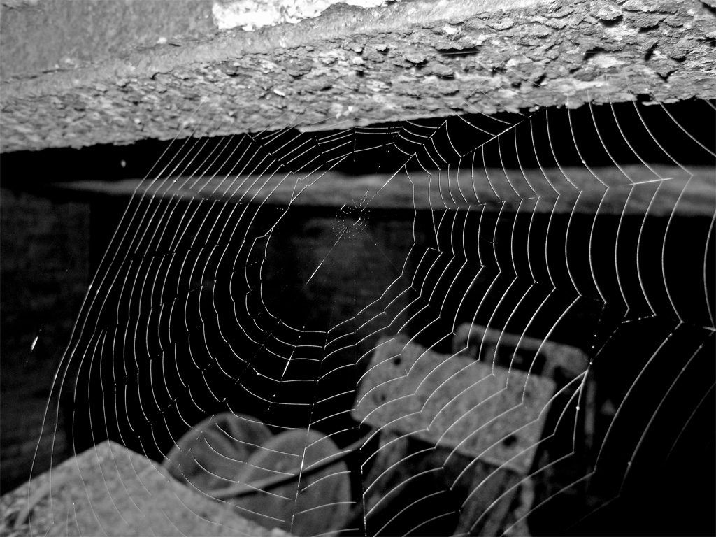 imprigionate dal tempo