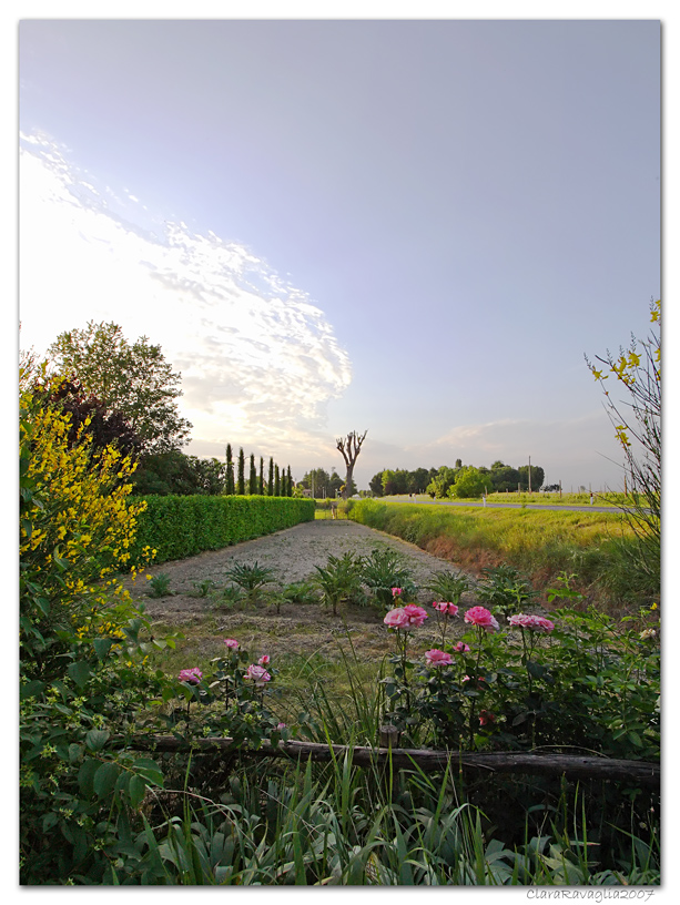 I colori della sera.............sulla via di casa