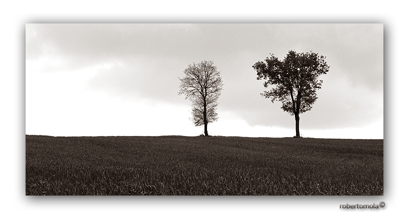 Le sentinelle dell'orizzonte (2006)