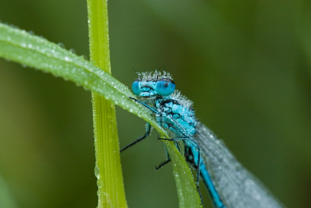 Appena uscita dalla doccia